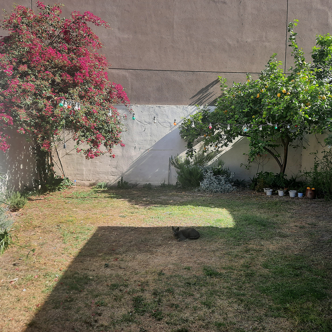 Inmobiliaria Verónica Caminos