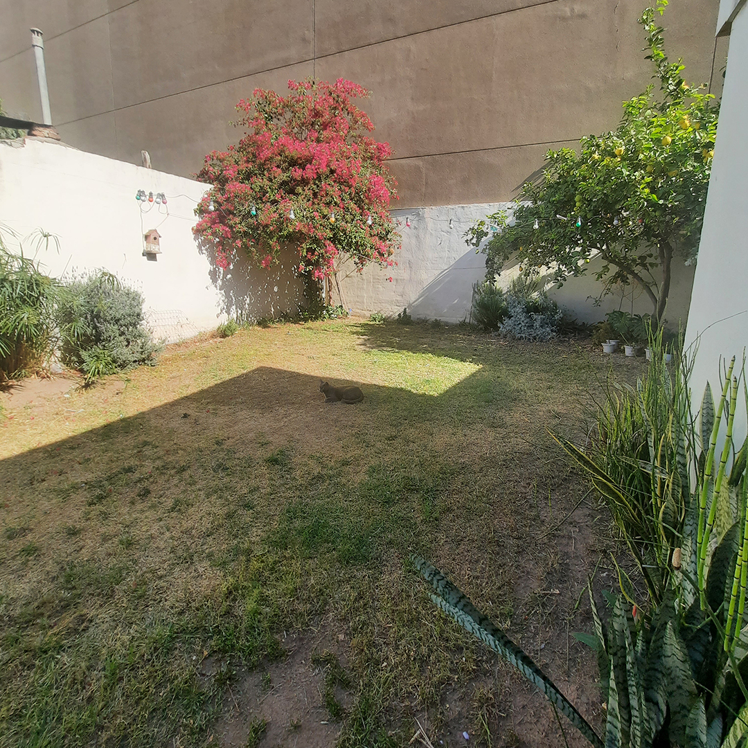 Inmobiliaria Verónica Caminos