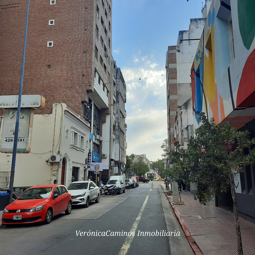 Inmobiliaria Verónica Caminos